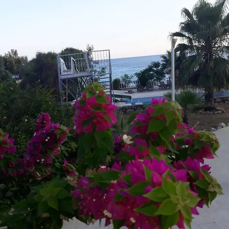 Anko Beach *